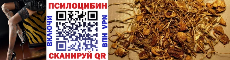 Псилоцибиновые грибы прущие грибы  где продают   Звенигово 